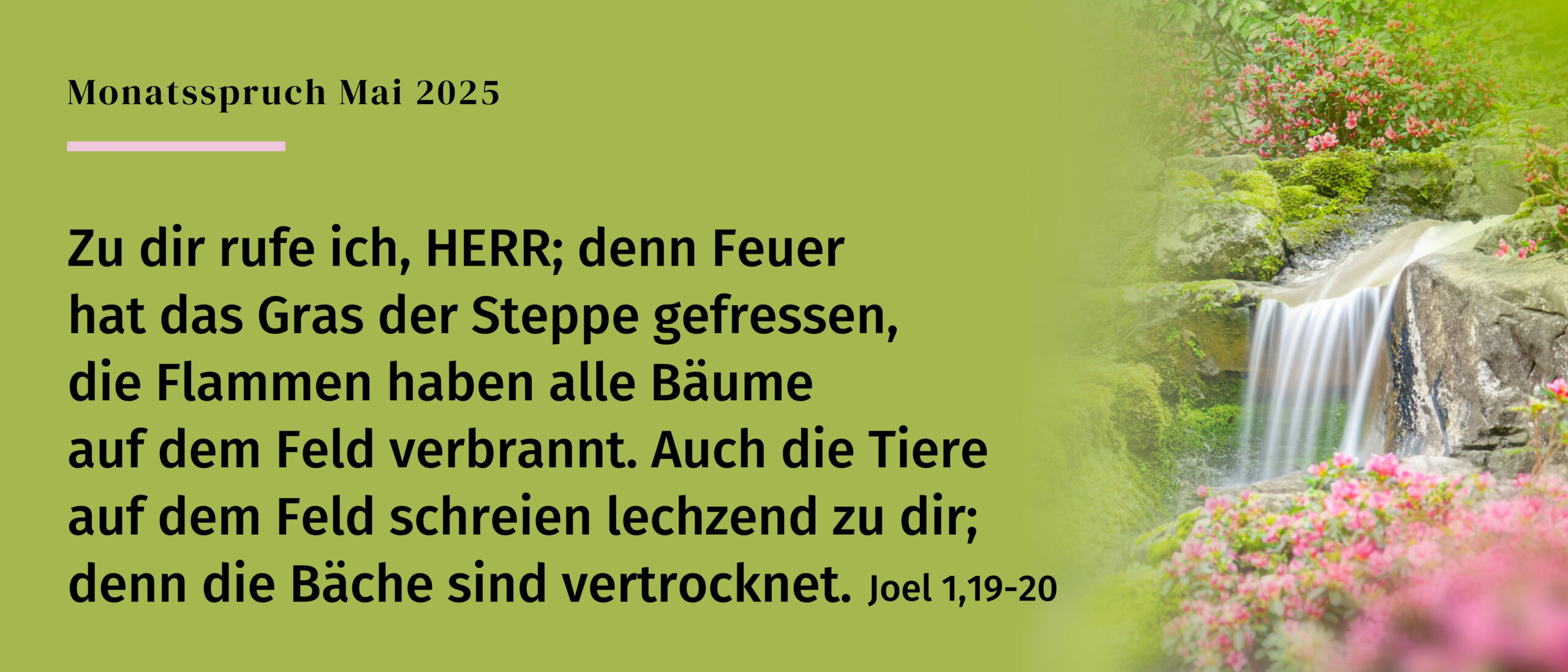 Evangelisch-Freikirchliche-Gemeinde Diepholz   -Βάπτισμα-