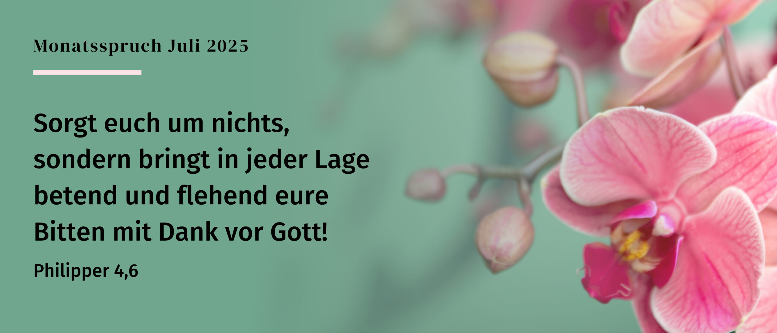 Evangelisch-Freikirchliche-Gemeinde Diepholz   -Βάπτισμα-